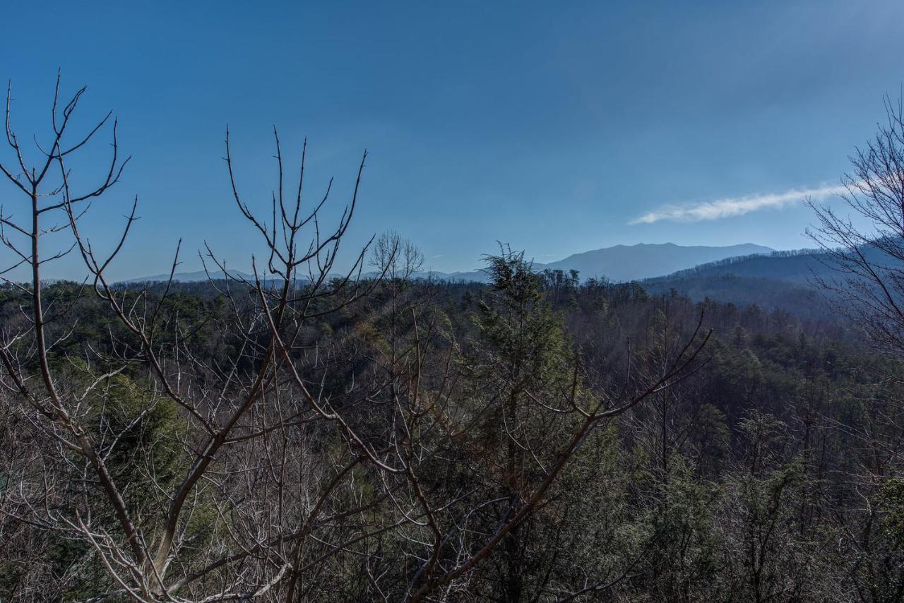 Aspens Envy Διαμέρισμα Pigeon Forge Εξωτερικό φωτογραφία